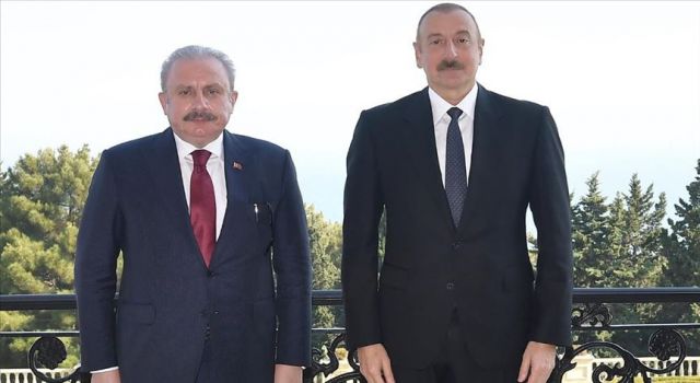 Aliyev, Başkan Şentop'u kabul etti