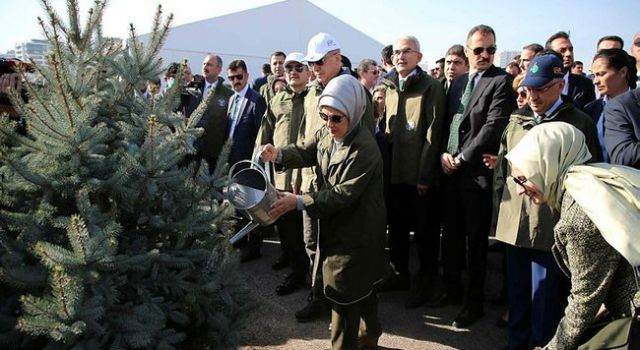 Emine Erdoğan, Milli Ağaçlandırma Günü'nü kutladı