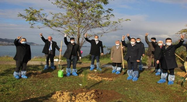 Giresun'lu Ülkücülerden Alparslan Türkeş'in anısına fidan dikildi