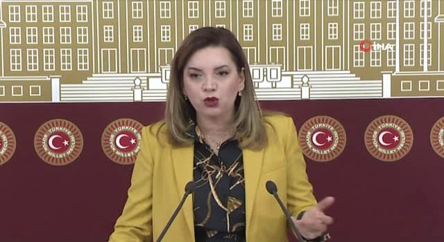 MHP'li Arzum Erdem: Bingöl'ün sorunlarını bundan sonra da takip edeceğiz