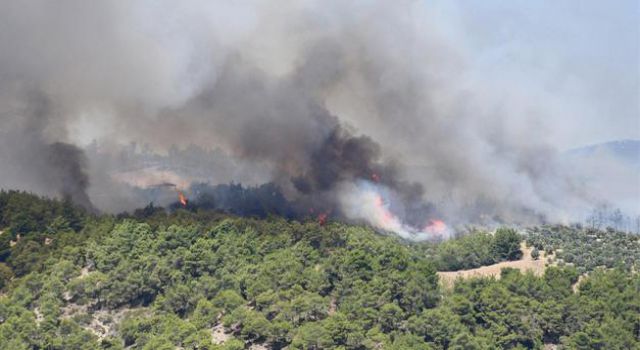 209 orman yangını kontrol altına alındı