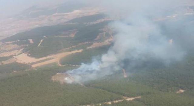 Foça'da orman yangını!