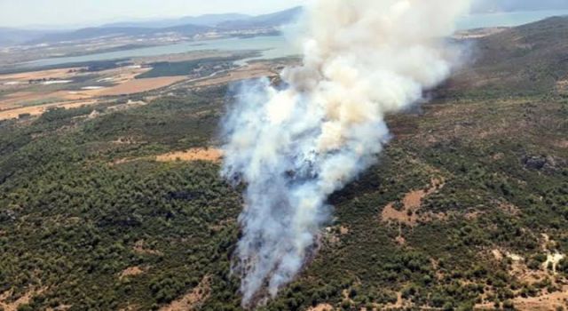 Menderes ve Urla'da orman ve makilik alanlarda yangın çıktı