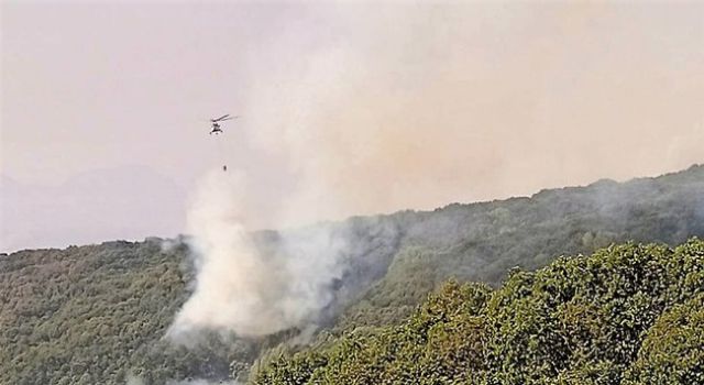 OGM'den Tunceli'deki yangınla ilgili açıklama!