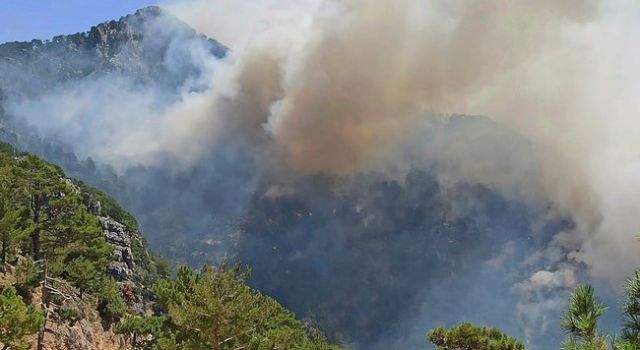 Son dakika: Antalya’da yangın! 1 kişiye gözaltı