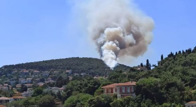 Son dakika.. Heybeliada'da ormanlık alanda yangın!