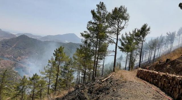 Son dakika: Anamur'da orman yangını