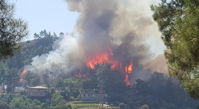 Son dakika: Manavgat'ta orman yangını!