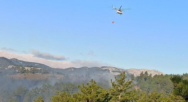 Adana'da çıkan orman yangını kontrol altına alındı