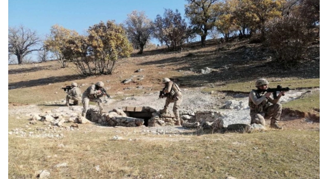 Siirt'te Eren Kış-5 Şehit Jandarma Üsteğmen Ersan Yenici Operasyonu başlatıldı