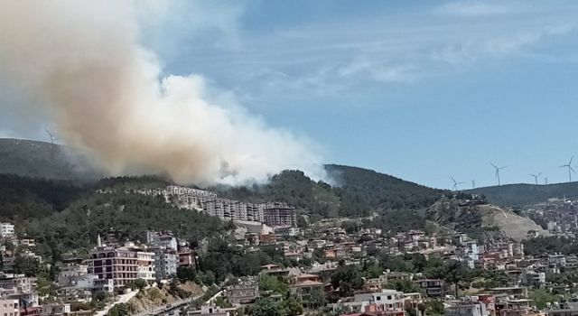 Hatay'da orman yangını!