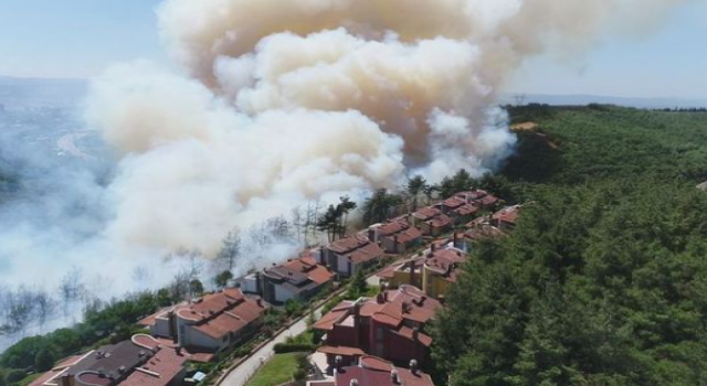 Bursa'da orman yangını