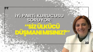 İYİ Parti kurucularından Merrin Hasipoğlu, O soruyu sordu..