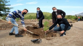 Fethiye Ülkü Ocakları, Alparslan Türkeş'in 103. yıl dönümü anısına fidan dikti