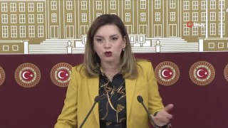 MHP'li Arzum Erdem: Bingöl'ün sorunlarını bundan sonra da takip edeceğiz