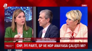 MHP'li vekil Arzu Erdem'den flaş açıklama, gizli anayasanın içinde ne yazdığını açıkladı!