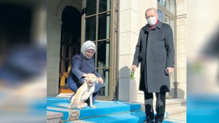 Emine Erdoğan, Leblebi'yi sahiplendi!