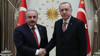 Cumhurbaşkanı Erdoğan, TBMM Başkanı Şentop'u kabul etti