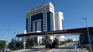 Tarım ve Orman Bakanlığı, sağladığı desteklerle organik üretim ve tüketimi artırıyor