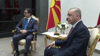 Cumhurbaşkanı Erdoğan, Kuzey Makedonya Cumhurbaşkanı ile görüştü