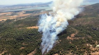 Menderes ve Urla'da orman ve makilik alanlarda yangın çıktı