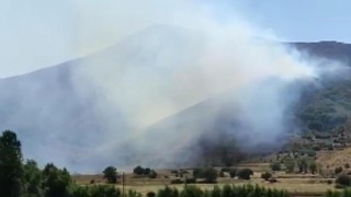 Son dakika: Bitlis'te yangın!