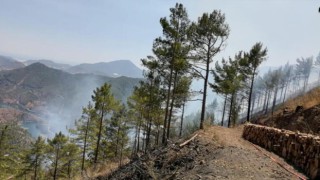 Son dakika: Anamur'da orman yangını