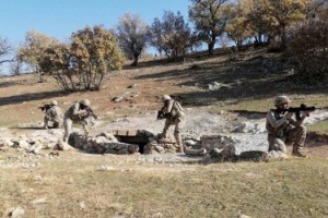 Siirt'te Eren Kış-5 Şehit Jandarma Üsteğmen Ersan Yenici Operasyonu başlatıldı