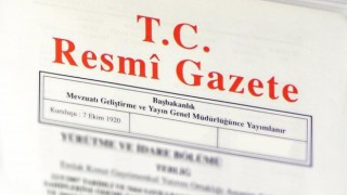 16 mesleğe daha belge zorunluluğu getirildi.. Karar resmi gazetede!