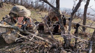 Elazığ'da 'Eren Kış-26 Şehit Jandarma Yarbay Alim Yılmaz Operasyonu' başlatıldı