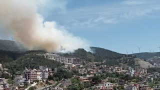 Hatay'da orman yangını!